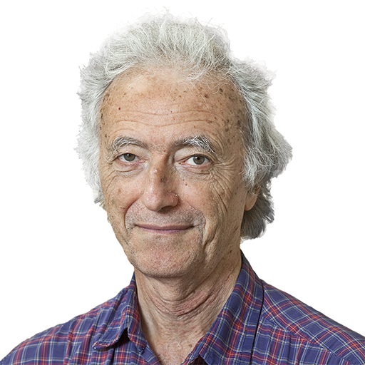 image of Paolo di Vecchia